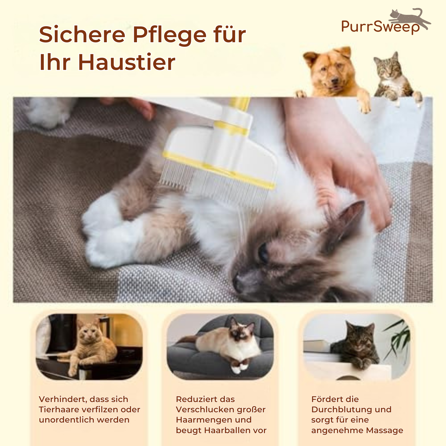 PurrSweep Haarentfernungskamm