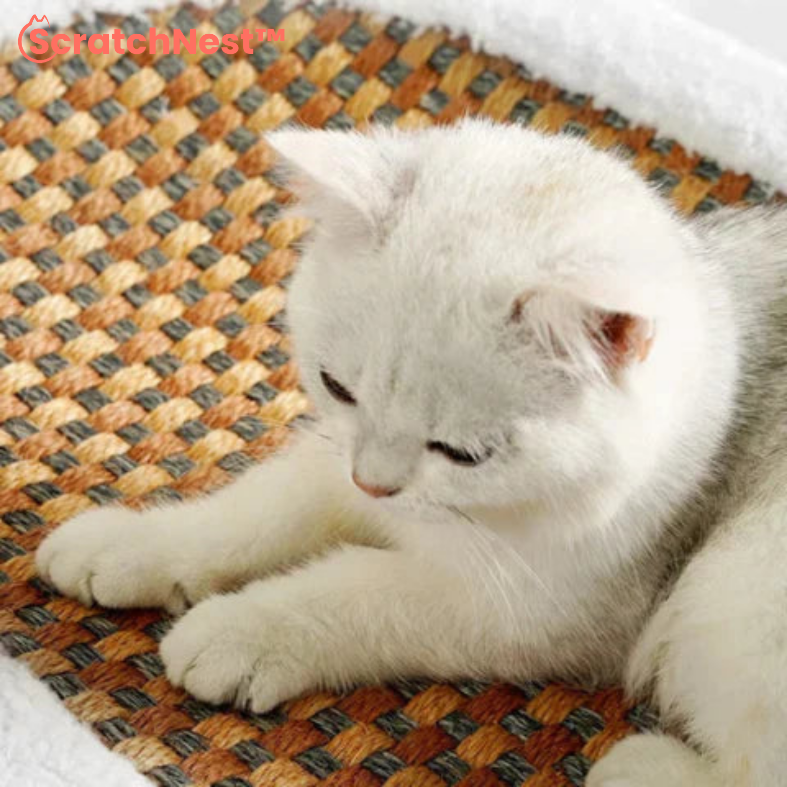 ScratchNest™ Plüsch Katzenkorb mit Kratzfläche