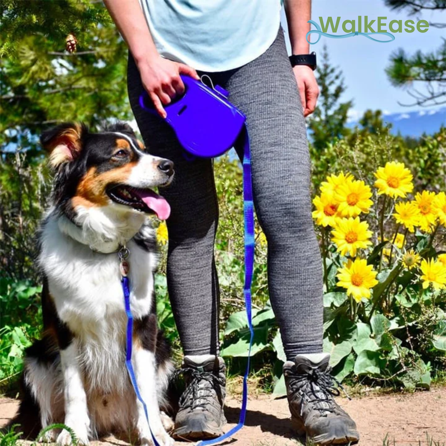 WalkEase 5-in-1 Hundeleine