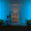 RoomBubble™ | Magische LED Schneeszene für Zuhause Dekoration