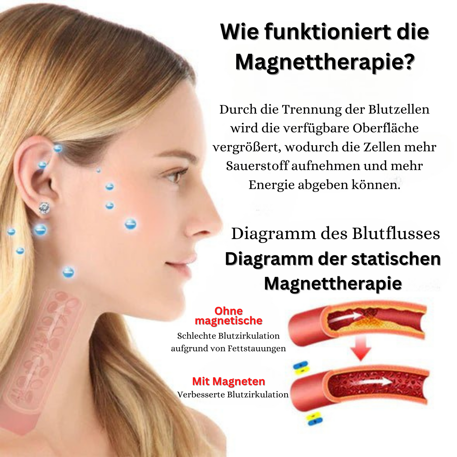 1+1 GRATIS | Acurani™️ Magnetische Therapie-Ohrringe